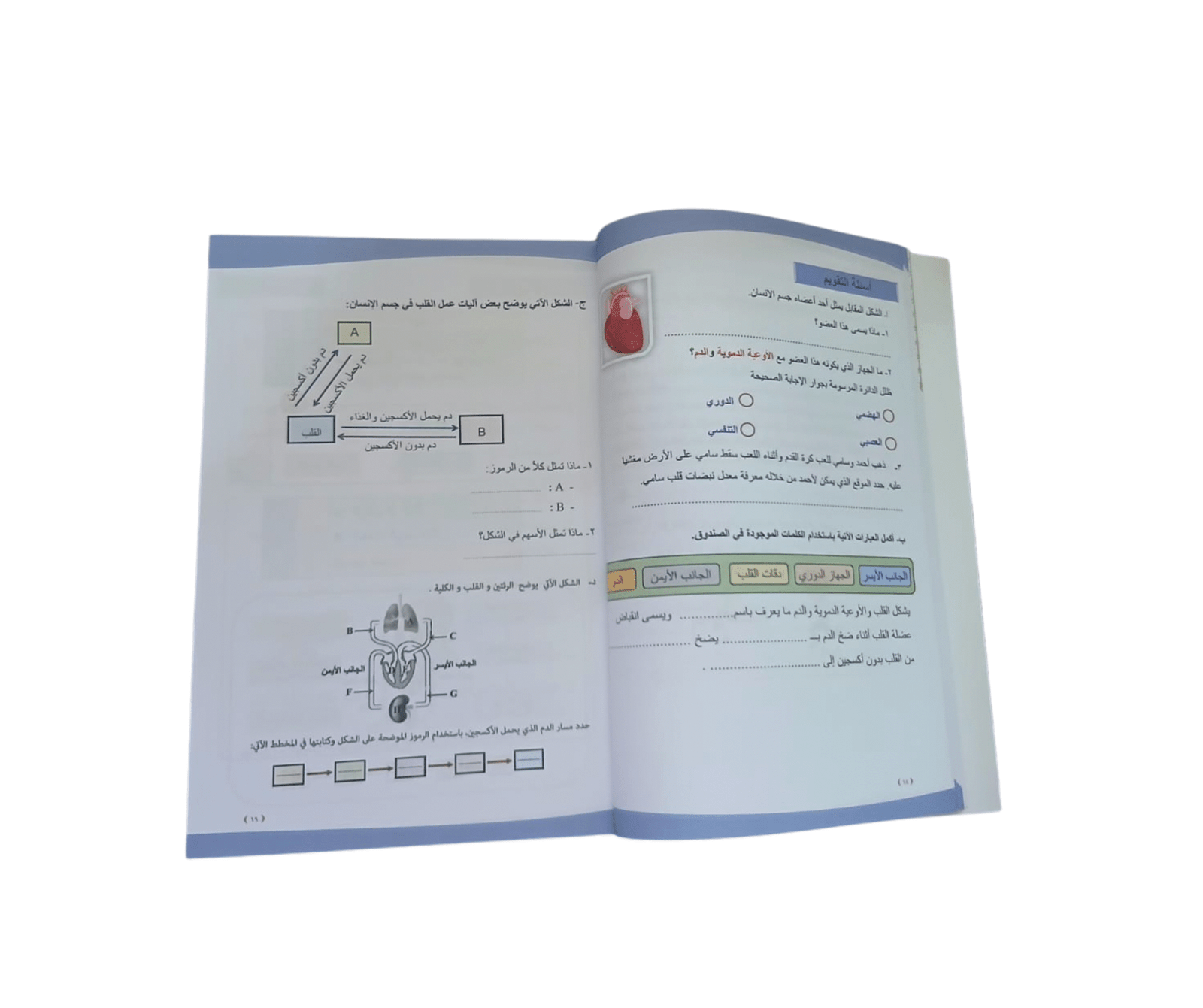تصميم بدون عنوان - 2025-10-18T120110.957