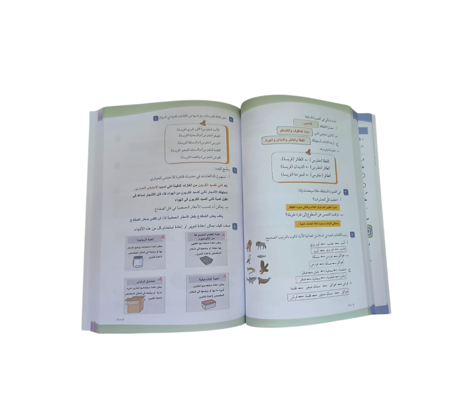 تصميم بدون عنوان - 2025-10-18T120129.169